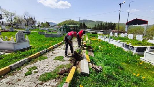 media-libraryHipVPo