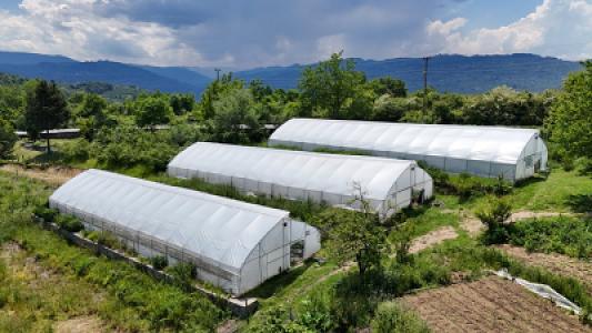 media-libraryjW7GmT