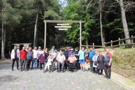 media-libraryLVchpE