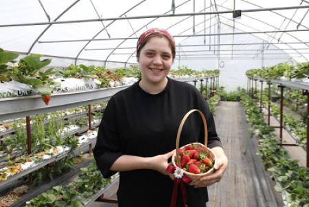 media-library2Jb6iH