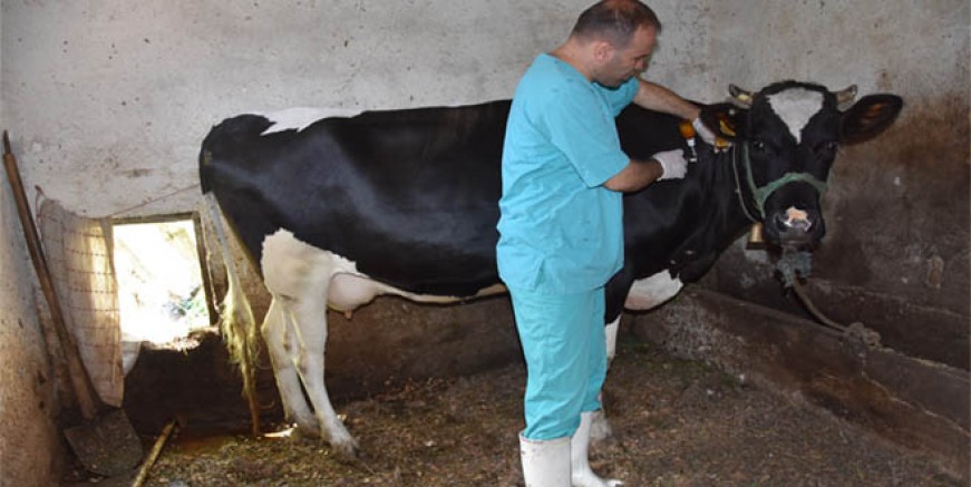 170 MİLYON LİRAYA YAKIN GELİR KAYBI ÖNLENDİ