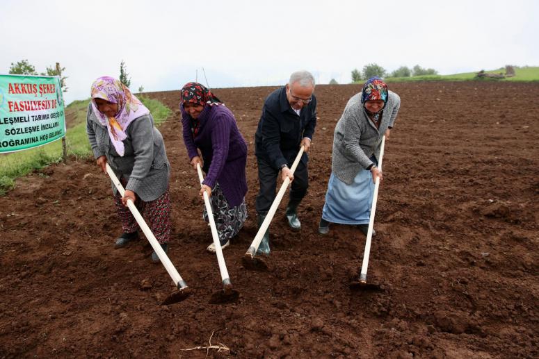 AKKUŞ ŞEKER FASULYESİ MARKA OLMA YOLUNDA