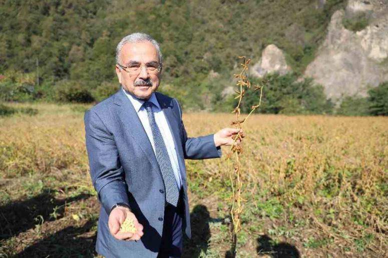BAŞKAN GÜLER’İN TARIM PROJESİ 72 MİLYON LİRA KAZANDIRDI