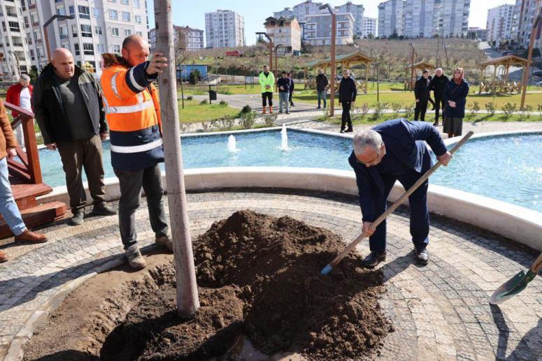 BÜYÜKŞEHİRDEN 'YEŞİL SEFERBERLİK'