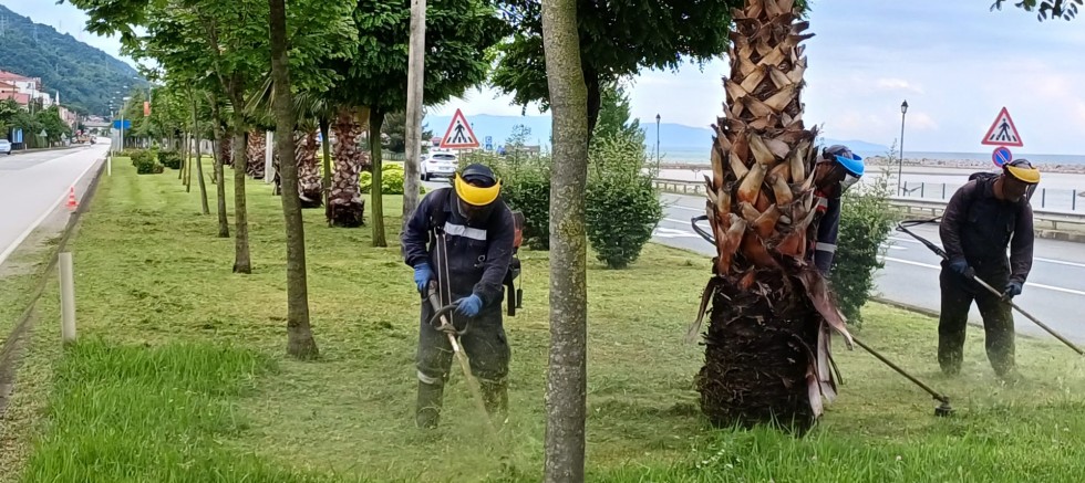 AİLE DESTEK MERKEZİ, BİNLERCE VATANDAŞA DANIŞMANLIK YAPIYOR