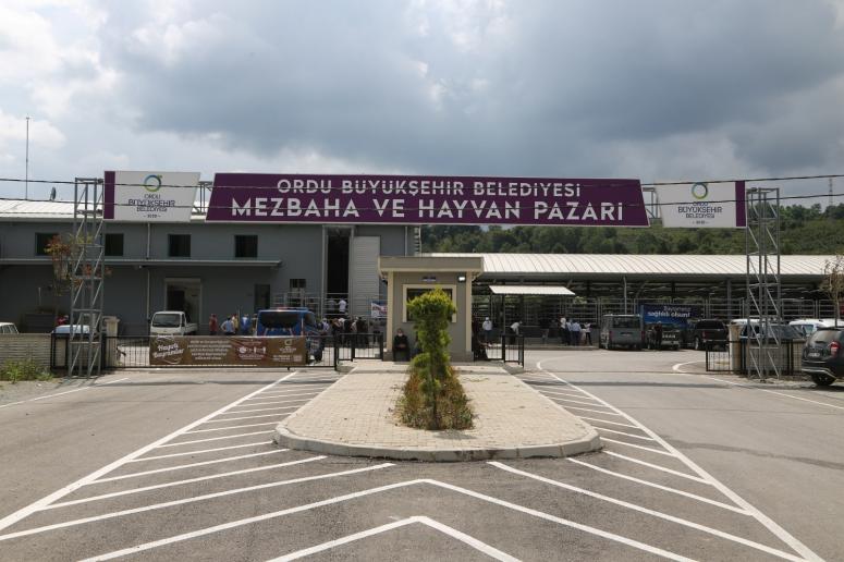 BÜYÜKŞEHİR GEREKLİ TEDBİRLERİ ALDI