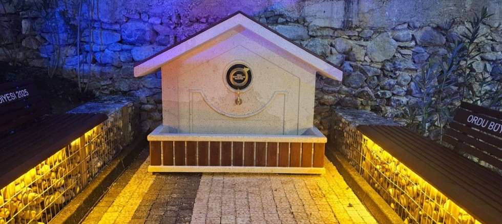 BÜYÜKŞEHİRDEN KUMRU’YA ESTETİK DOKUNUŞ