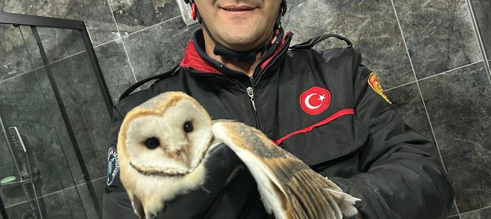 İTFAİYE EKİPLERİ MAHSUR KALAN BAYKUŞ İÇİN SEFERBER OLDU