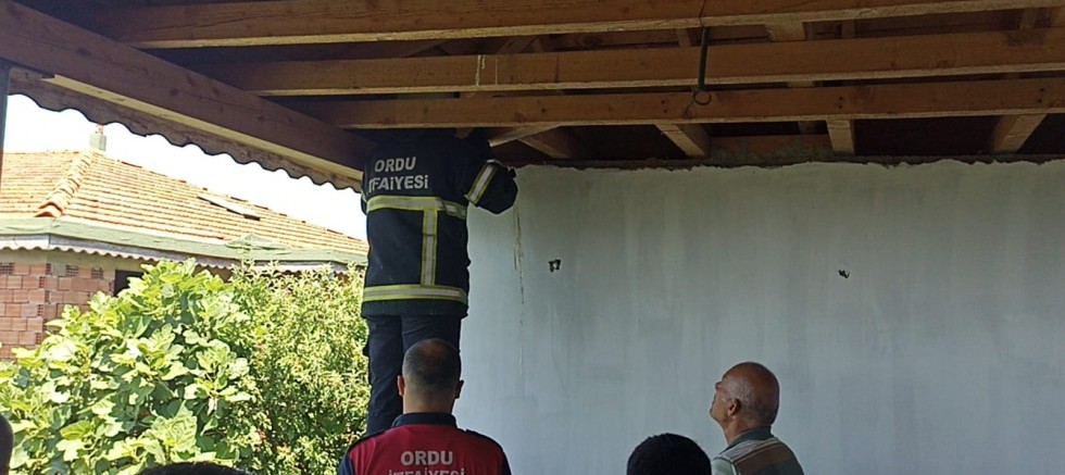 İTFAİYE EKİPLERİ YAVRU KEDİ VE BAYKUŞLAR İÇİN SEFERBER OLDU